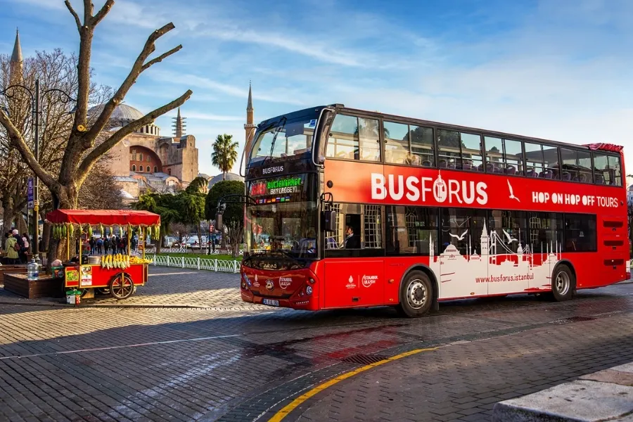 1-Day Hop-On Hop-Off Ticket, Istanbul open-top bus